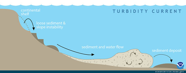 The characteristic flow pattern associated with sedimentation dynamics from river mouths out towards the sea.