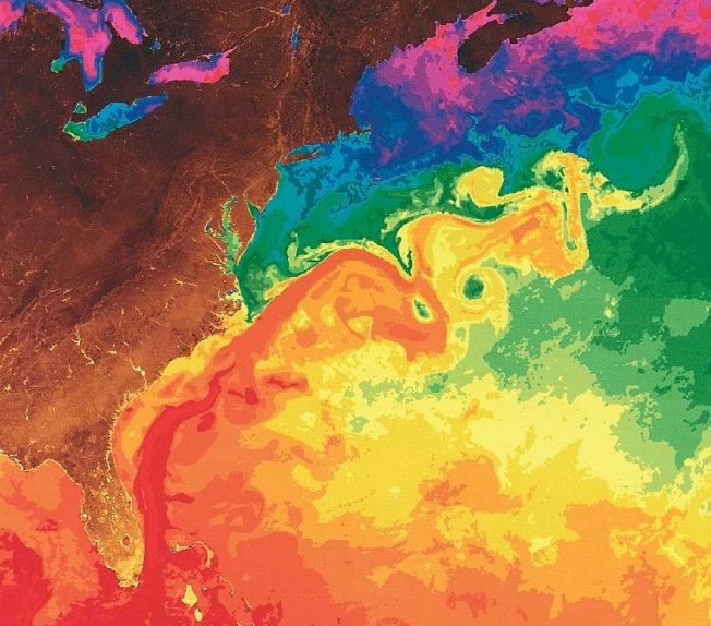 The gulf stream as visualized by the numerical simulation of the ocean conducted by NOAA