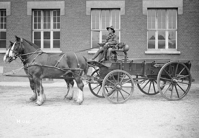 Simple old-fashioned horse-driven truck utilized to transport goods across the city streets.