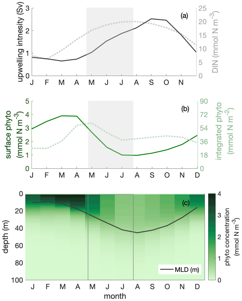Depth of the mixing layer showcasing the thickness of the phytoplankton rich layers across the year in particular within the Humboldt current area. This particular case shows how the phytoplankton layer is thickest during the summer months where primary production occurs.